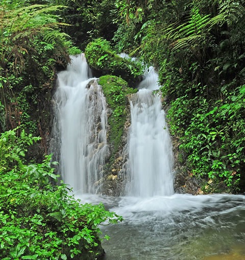 Bwindi Water falls - Gorilla Trekking Tours in Uganda
