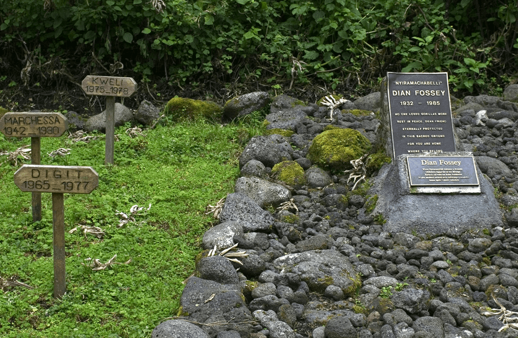 Dian Fossey tomb hike
