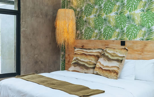 Ingagi Park view lodge