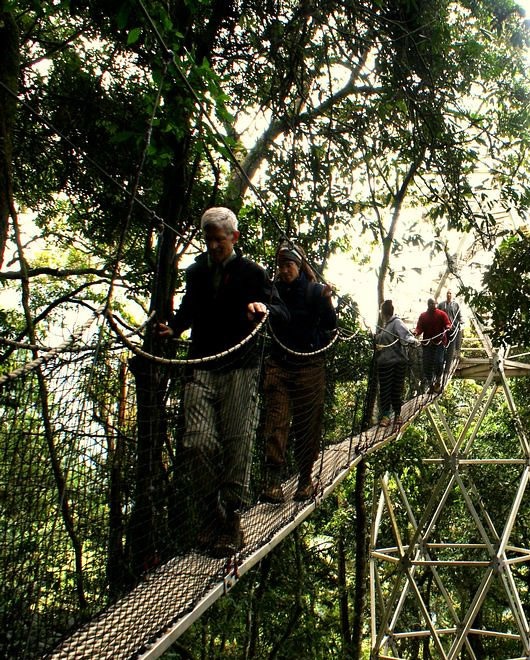Nyungwe National Park