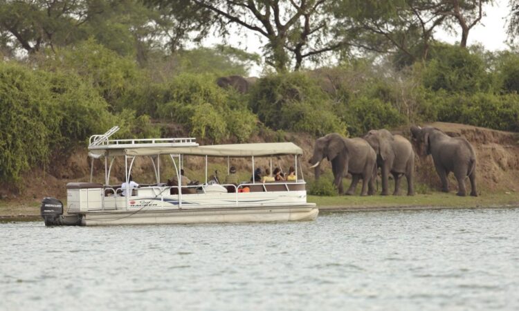 5 days Uganda Birding and Gorilla safari