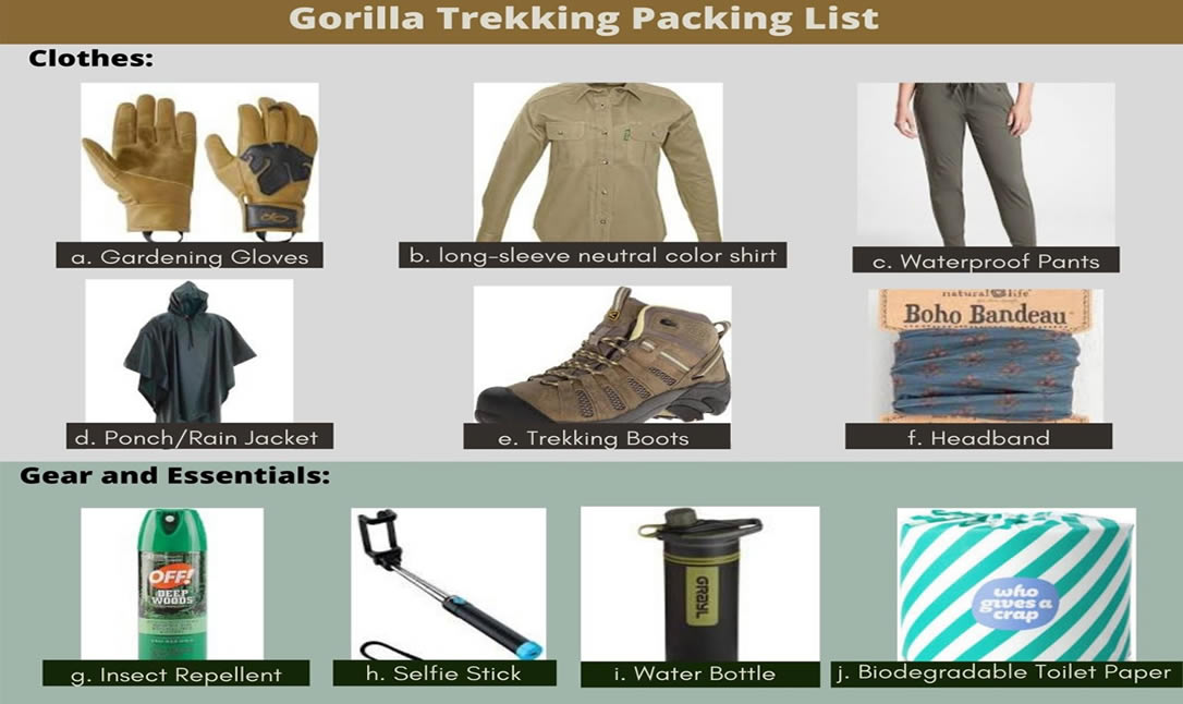 Esentail packing lsit and what to wear for gorilla trekking