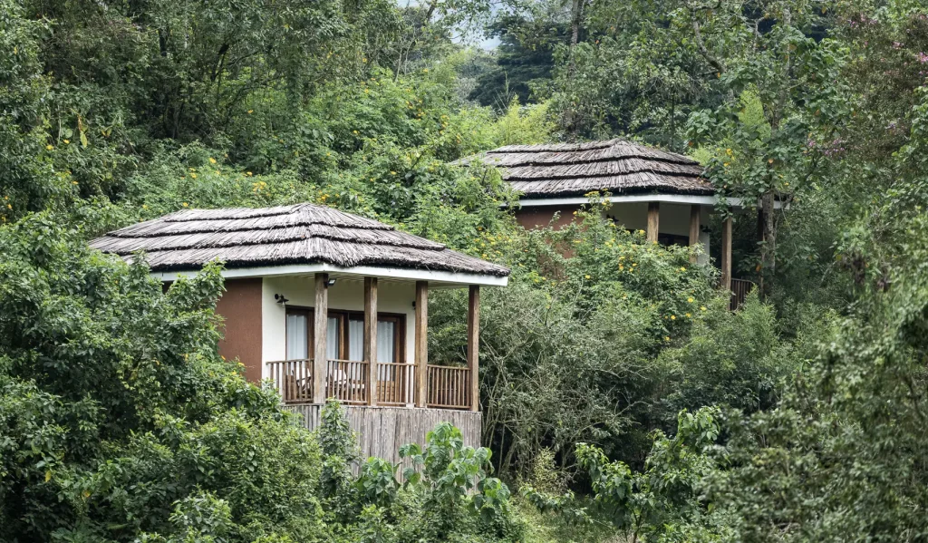 Four Gorillas Lodge