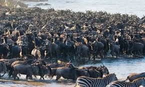 When is the best time to go to Serengeti National Park