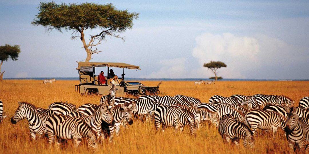 When is the best time to go to Serengeti National Park