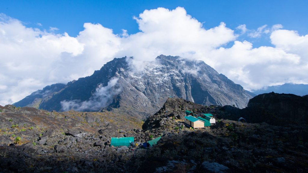 Mount Speke (4,890m)