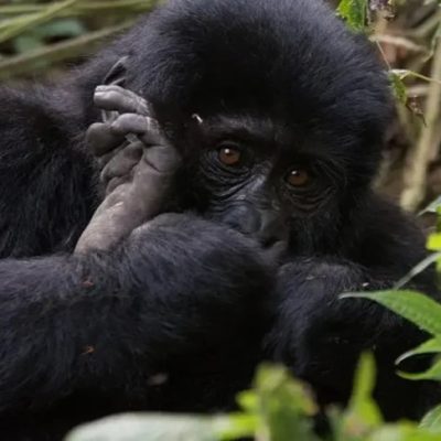 Seasonal Group Tours.